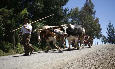 Nuevo banco mapuche tendrá fondo de US$ 10 millones para créditos