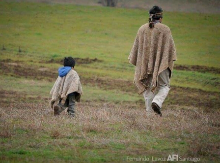 Ventas y arriendo de las tierras mapuche