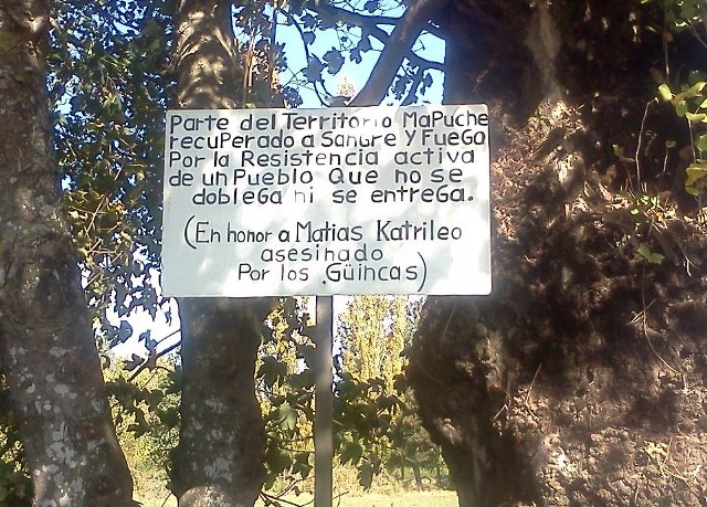 Pinos y transgénicos o bosques y agroecología