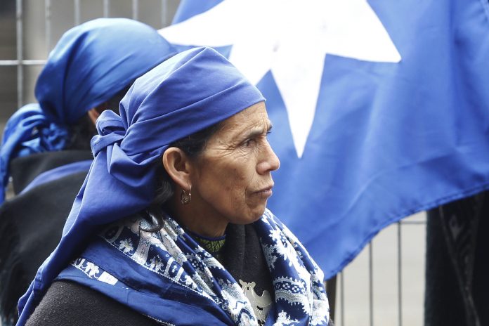 Familia y comunidad Machi Linconao respecto viaje a Bolivia