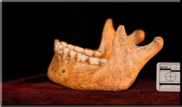 Nueva evidencia científica avala mestizaje entre cultura polinésica y mapuche