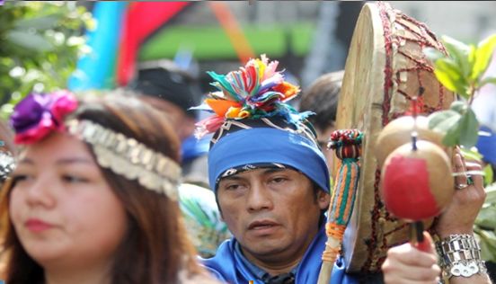 Mapuches interponen amparo para zonas mineras de Chile