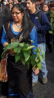 Impiden defender tesis con vestimenta mapuche a estudiante.