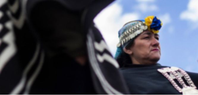 Grupos mapuche solicitaron que la Conadi aclare el proceso de compra de predio a Pablo Longueira