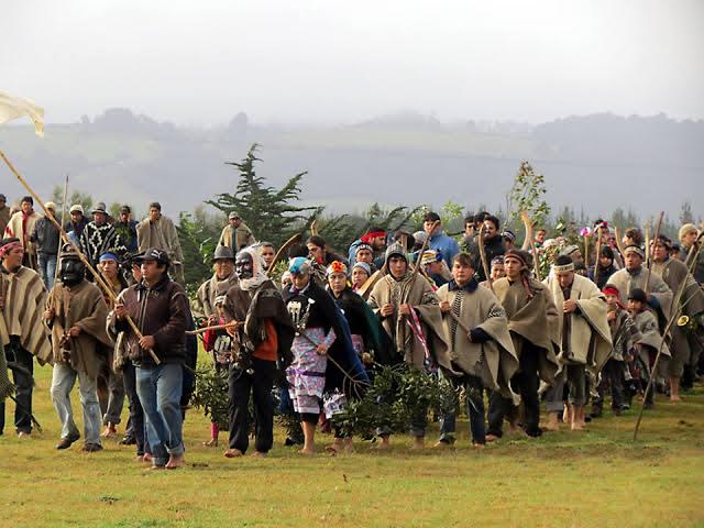 Fvta Malon Mapuche De 1881