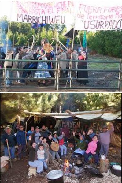 Comunidad Mapuche de Nueva Imperial denuncia a forestal Mininco (CMPC) por conflictos de tierras y a