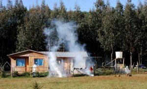 Actualización Listado Presos Políticos Mapuche