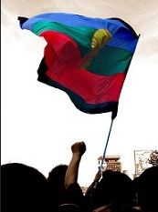 La Organización Mapuche Meli Wixan Mapu. Hemos recuperado nuestro sitio web!!!