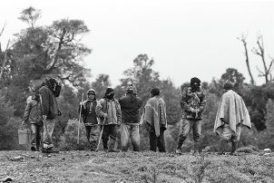 Los delitos vinculados a la violencia mapuche aumentan un 324% en Región de La Araucanía