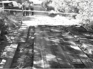 Condenan a mapuches por hurto de madera