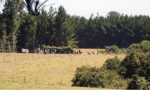 Mapuches inician "toma" de fundo cerca de lago Lanalhue