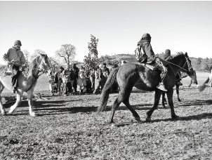 Más de la mitad de los mapuches imputados por hechos violentos han sido favorecidos con tierras