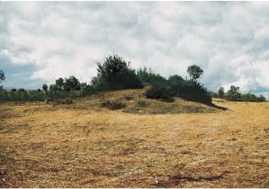 Antepasados de los mapuches tenían un avanzado desarrollo