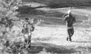 Fiscalía teme que mapuches en libertad condicional no comparezcan a los juicios