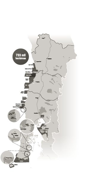 Ley Lafquenche: norma creada en 2008 mantiene 475 proyectos paralizados