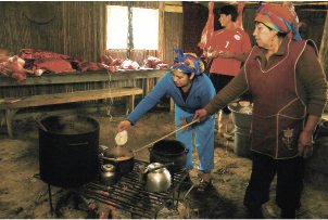 El mapuche de ojos claros