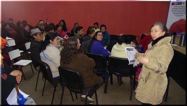EN PURÉN SE TRABAJA PARA OBTENER SELLO DE ORIGEN DEL MERKÉN TRADICIONAL MAPUCHE