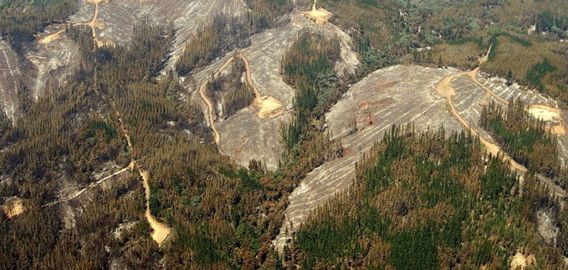 Acusan  a Forestal Mininco de no respetar acuerdo para mantener calidad de vida