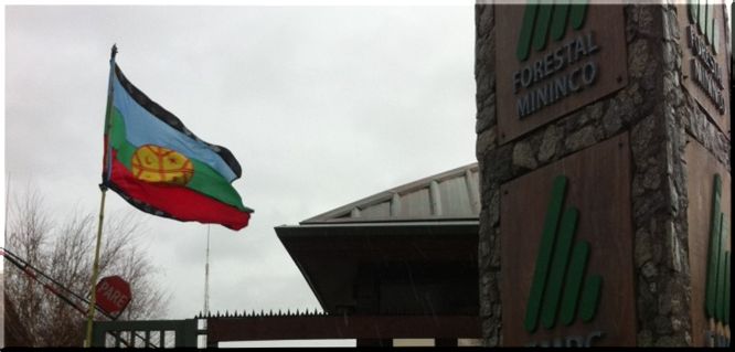Comunidades mapuche de Collipulli pidieron a Mininco garantizar entrega de desechos de madera
