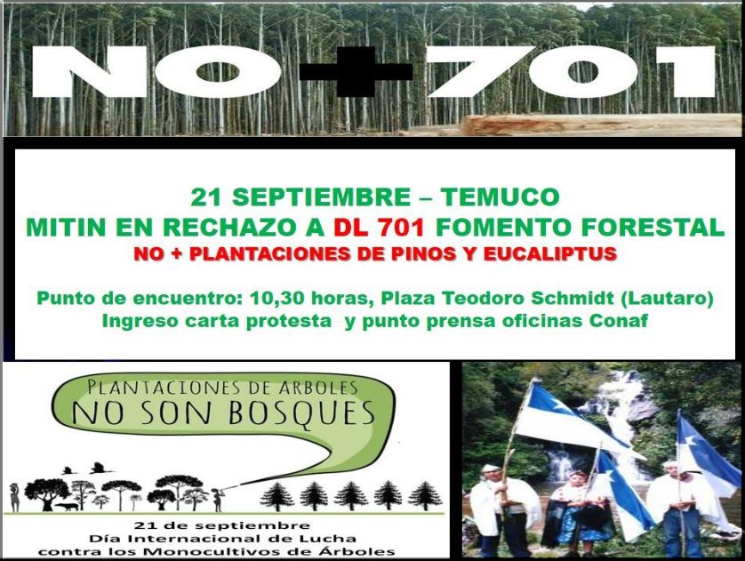 CHILE, TEMUCO: MITIN CONTRA PROYECTO LEY DE PRORROGA DEL DECRETO LEY 701