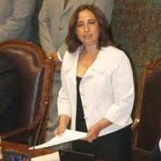 Presidenta de la Cámara valora creación de mesa de diálogo por conflicto mapuche