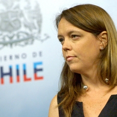 Piden a Contraloría indagar conflicto de interés de Von Baer por semillas