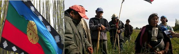 Comunidad de Collipulli ingresa a predio en Mulchén para exigir respuesta a demandas territoriales
