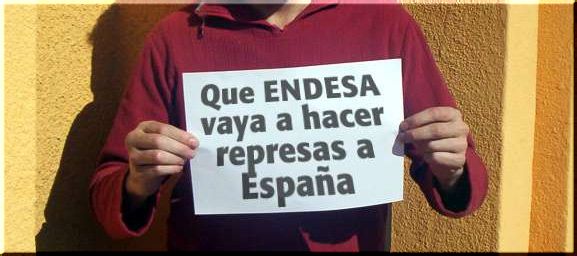 Familias mapuche logran que la ONU interceda en favor de reserva de la biósfera amenazada por ENDESA