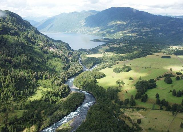 (Video) Comunidades mapuche confrontan a Endesa en sus oficinas por proyecto Neltume