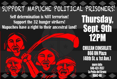 Support our Mapuche brothers and sisters!