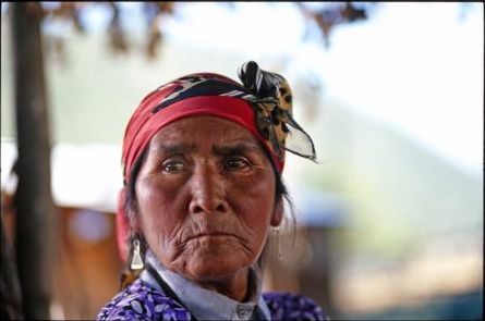 Nicolasa Quintremán, símbolo de la resistencia mapuche contra el poder de ENDESA (VIDEO)