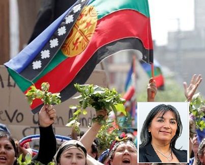 Comunidades Mapuche presentan Recursos de Protección y Queja