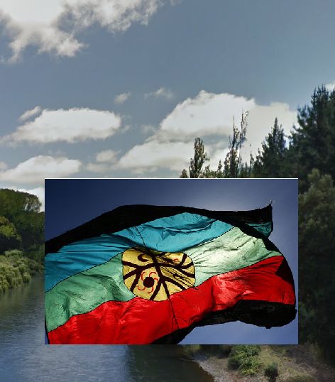 Comuneros mapuche se toman fundo Alihuen en Padre Las Casas