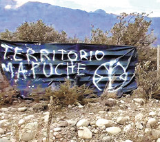 Las raíces tras las rejas