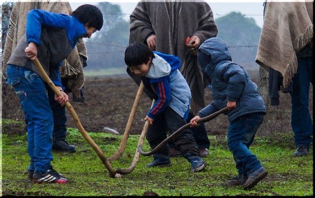 ENCUENTRO DE PALÍN MAPUCHE FINALIZARÁ ACTIVIDADES POR EL MES DEL NIÑO EN COLLIPULLI