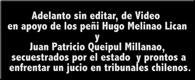 Comunidades mapuche respaldan a Hugo Melinao y Juan Queipul ante proceso judicial 