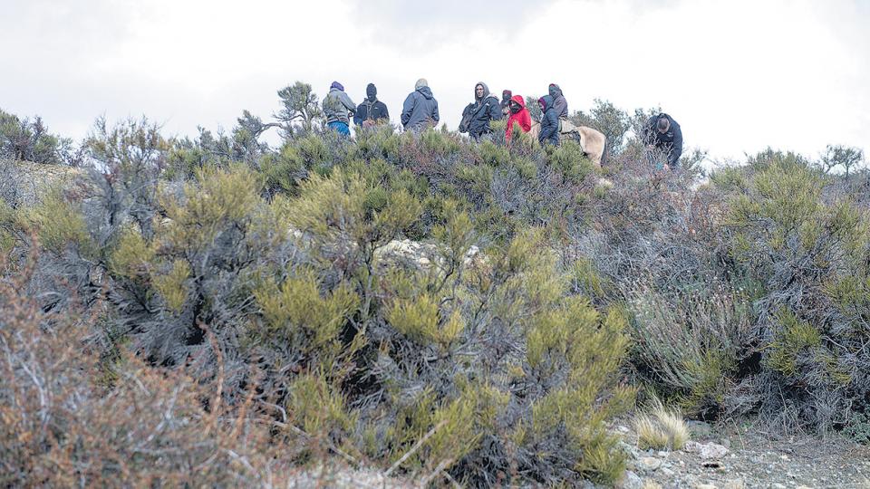Los atropellos no se detienen en Cushamen
