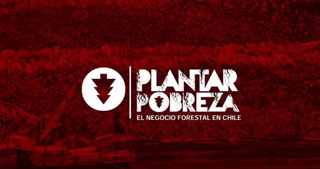 Vea aquí este documental completo  Plantar Pobreza, el negocio forestal en Chile
