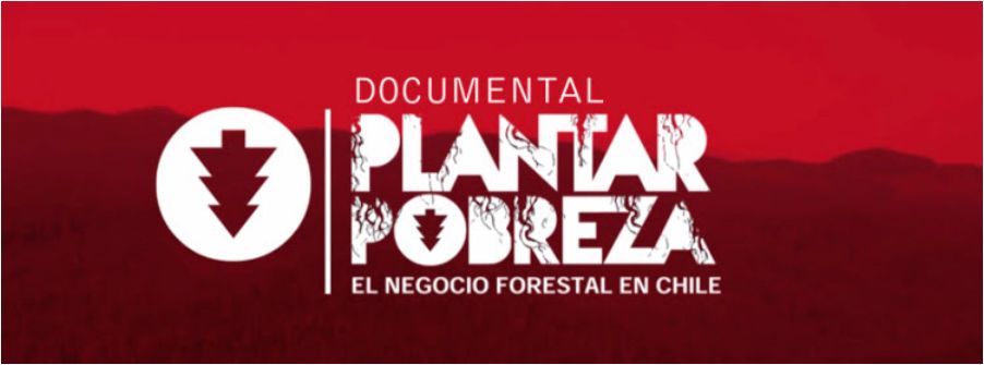 La industria forestal sólo provoca pobreza y peor vida en Chile