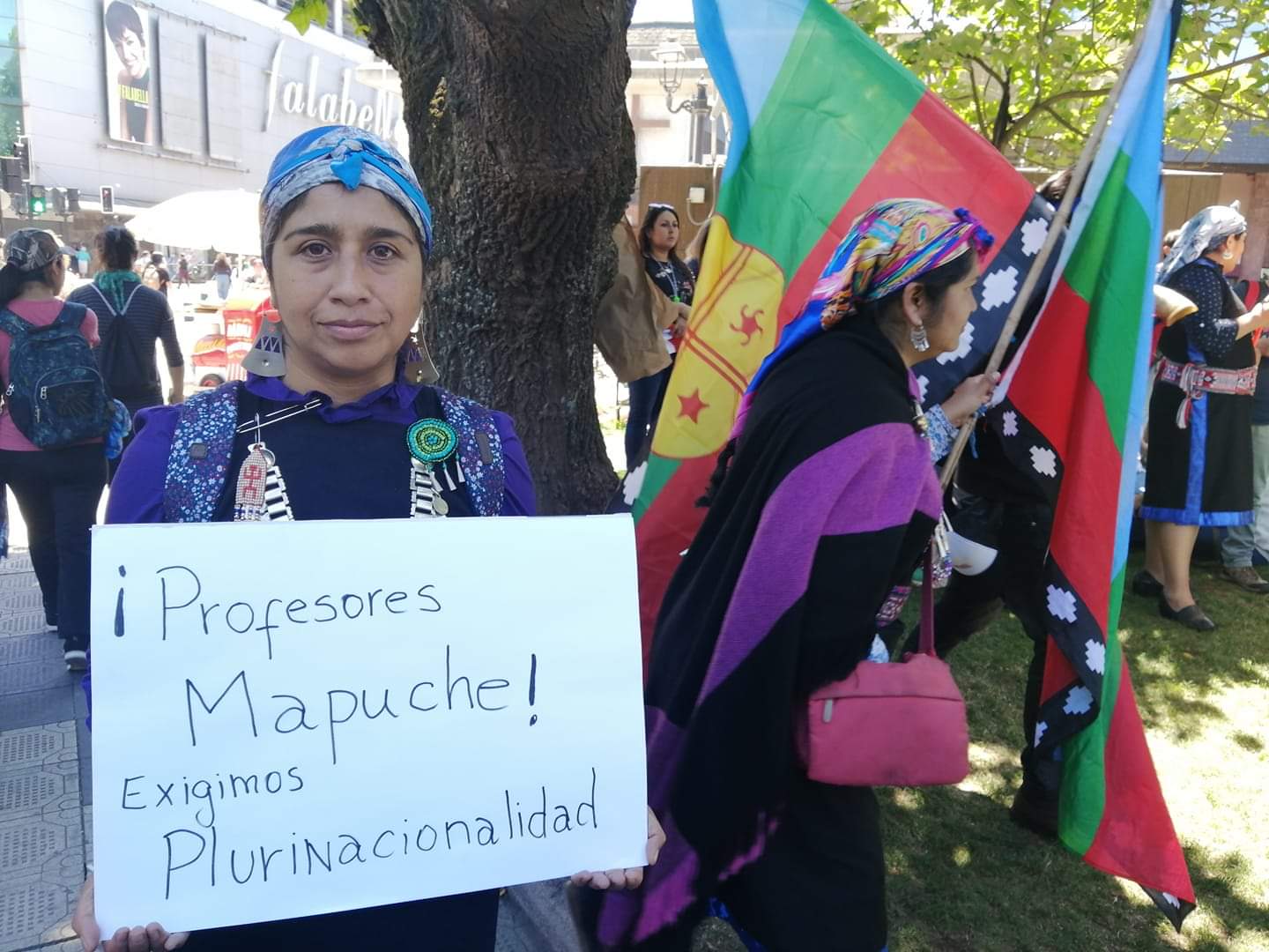 Plurinacionalidad e interculturalidad