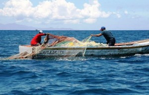 Bancada de Diputados PS vota en contra de la idea de legislar proyecto de Ley de Pesca