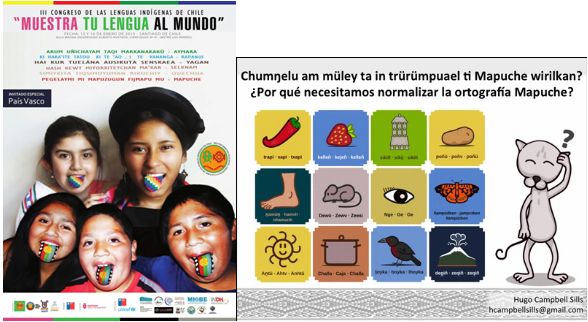 ¿Por qué necesitamos estandarizar la ortografía Mapuche?