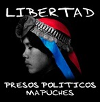 Presos Politicos Mapuche