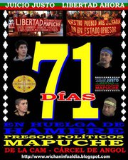 Presos políticos mapuches cumplen 70 días en huelga de hambre