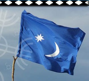  Organización de un ideario político de base mapuche