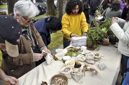 Mapuches: Cuando el  territorio es mucho más que  la tierra