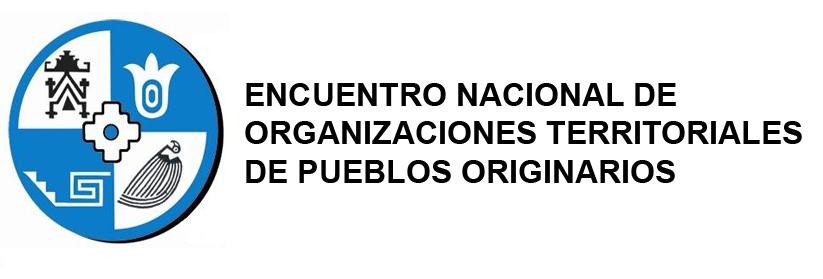 Marcha en respaldo a las autoridades territoriales que se reunirán con la Presidenta de la Nación