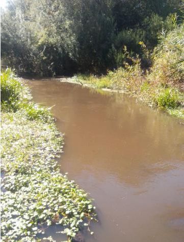 Denuncia a latifundista  Sr. Dietrich Harling de intervenir y contaminar aguas en zona de Quepe
