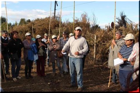 Copa América: Protestas Mapuche por incumplimientos en reparaciones de tierras