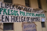 Mapuches valoran mediación de Ezzati, pero exigen respuesta a sus demandas para deponer la huelga